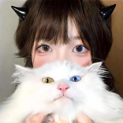 特工插班生